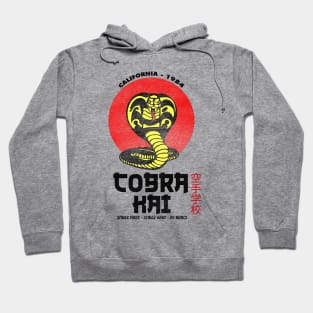 Cobra Kai Hoodie